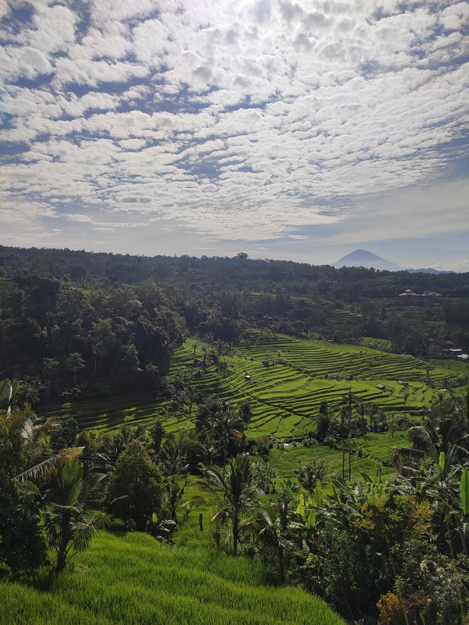 Gunza Bed And Breakfast Jatiluwih Exterior foto
